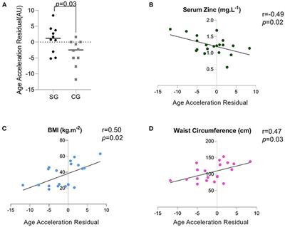 Corrigendum: Novel Zinc-Related Differentially Methylated Regions in Leukocytes of Women With and Without Obesity